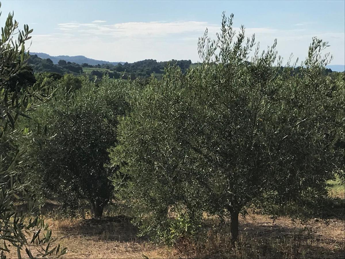 Gite Au Coeur Du Pays Cathare Verzeille Exterior foto